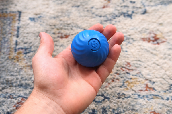 Self moving dog ball
