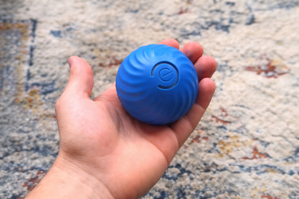 Dog ball cheap