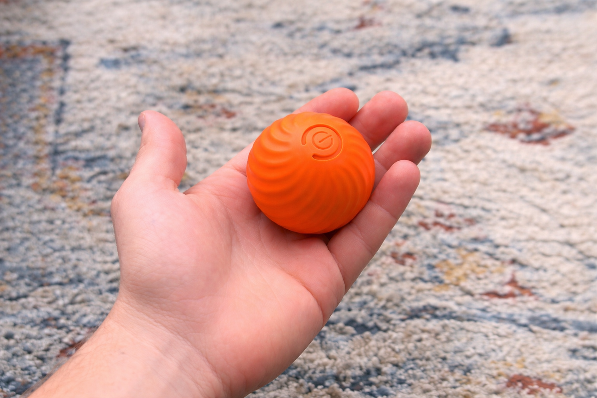 Dog ball cheap